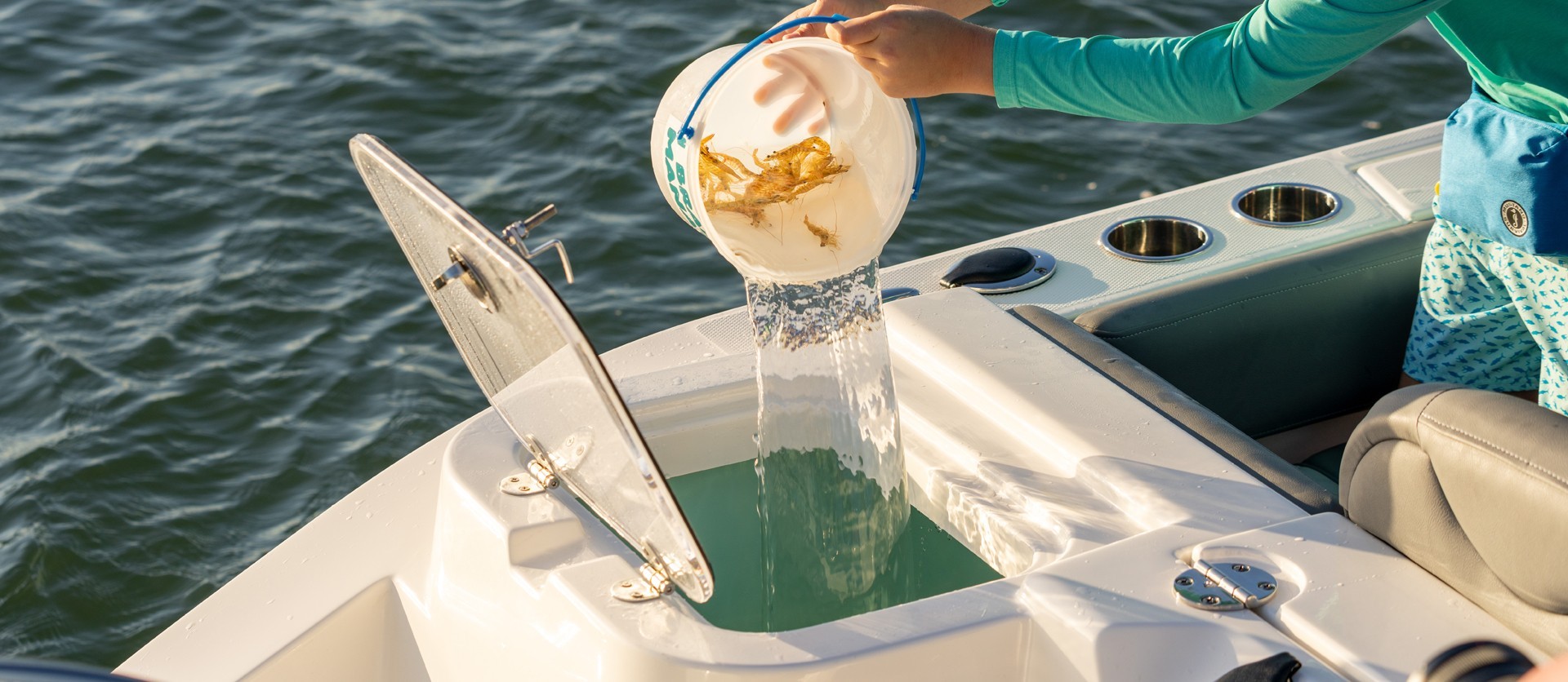 Large transom bait wells