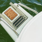 Swim platform and ladder