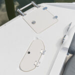 Bow boarding ladder