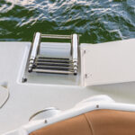 Bow boarding ladder